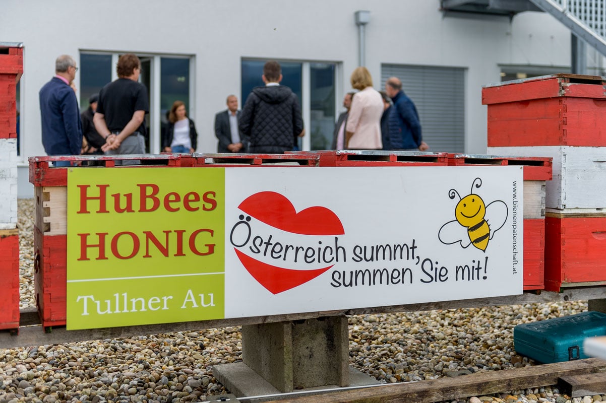Bienenvolk für kommunales Projekt Freistadt