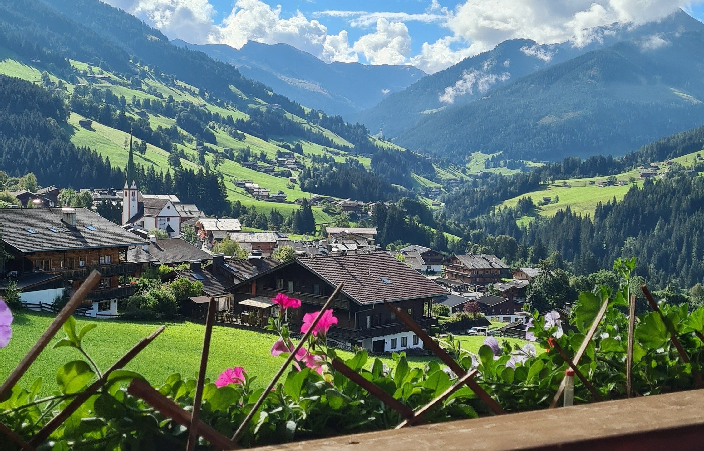 neoom x European Forum Alpbach