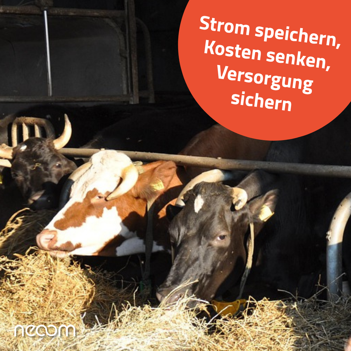 Landwirt_Strompreis_1-1