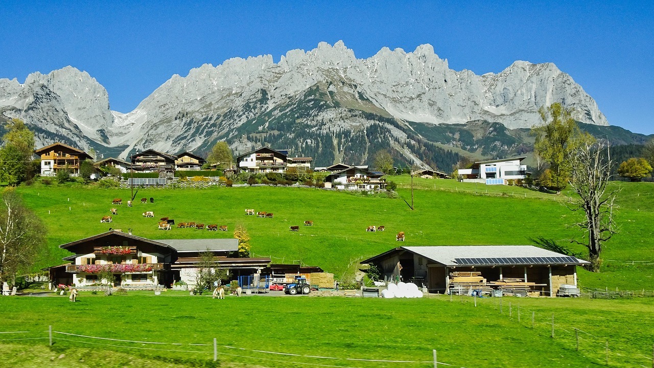 Bild der EG