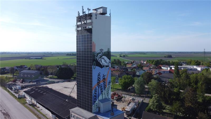 Bild der EG