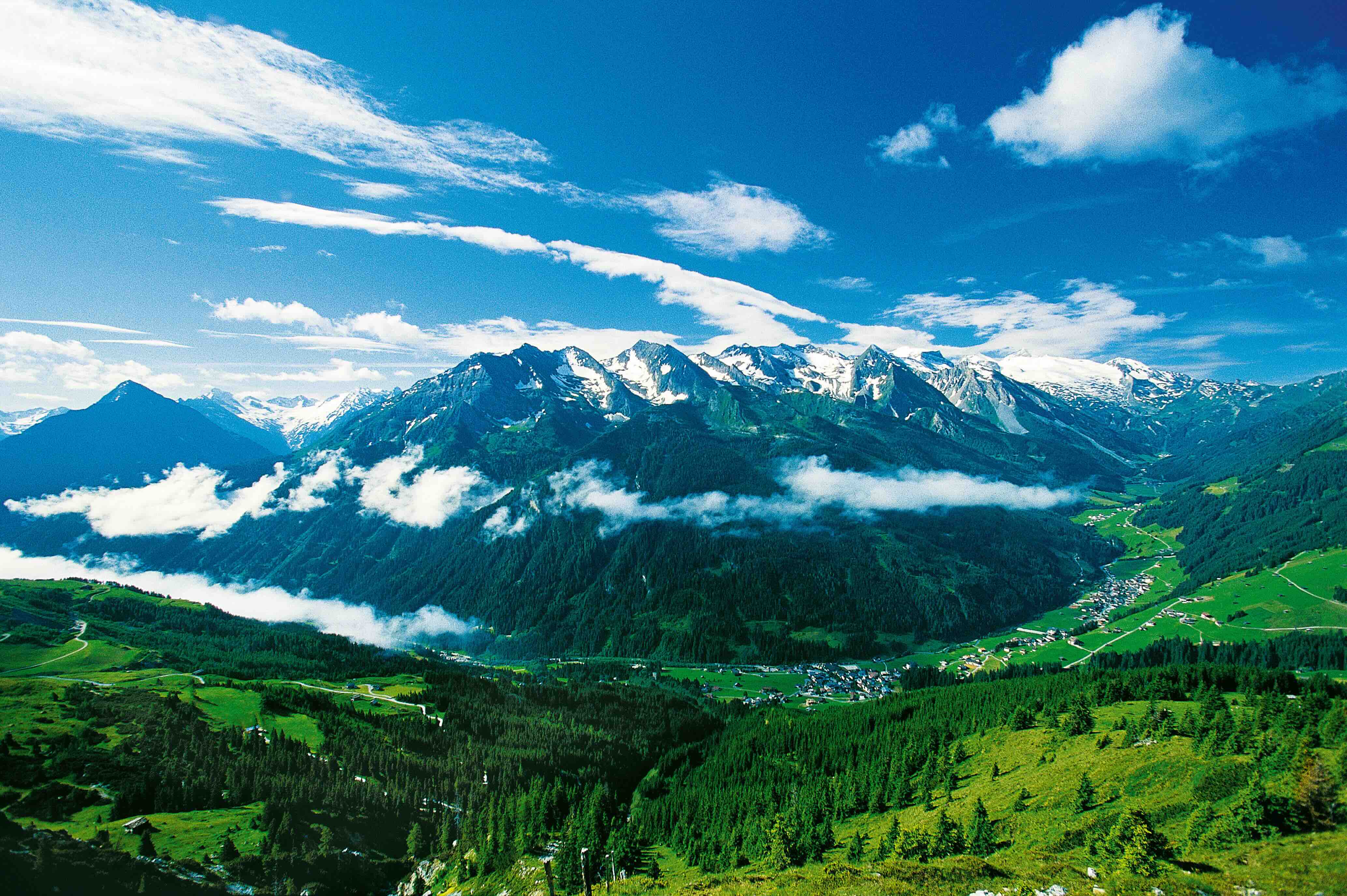 Bild der EG